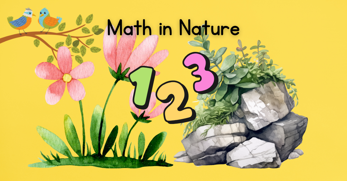 Math in Nature